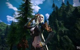 Tera_screenshot_5